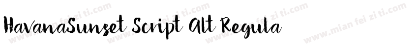 HavanaSunset Script Alt Regular字体转换